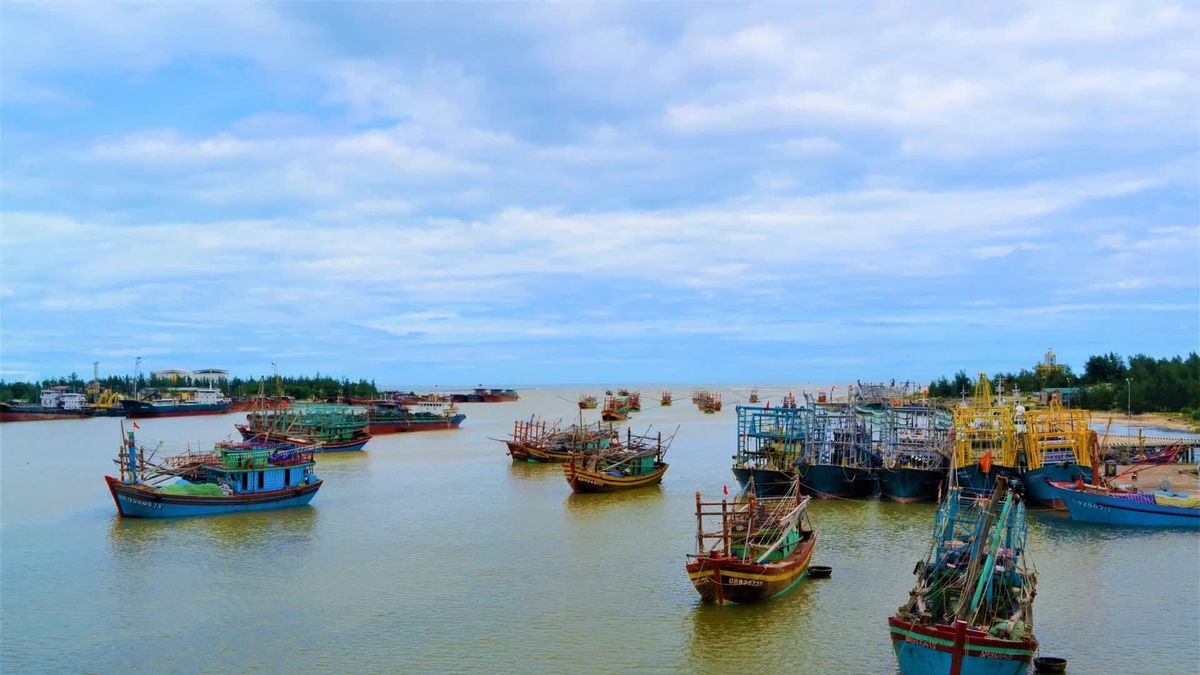 So sánh BĐS Đà Nẵng: Vì sao Newtown Legend chiếm ưu thế? https://vflinvest.vn 4 Hệ tiện ích nghỉ dưỡng ven biển cao cấp