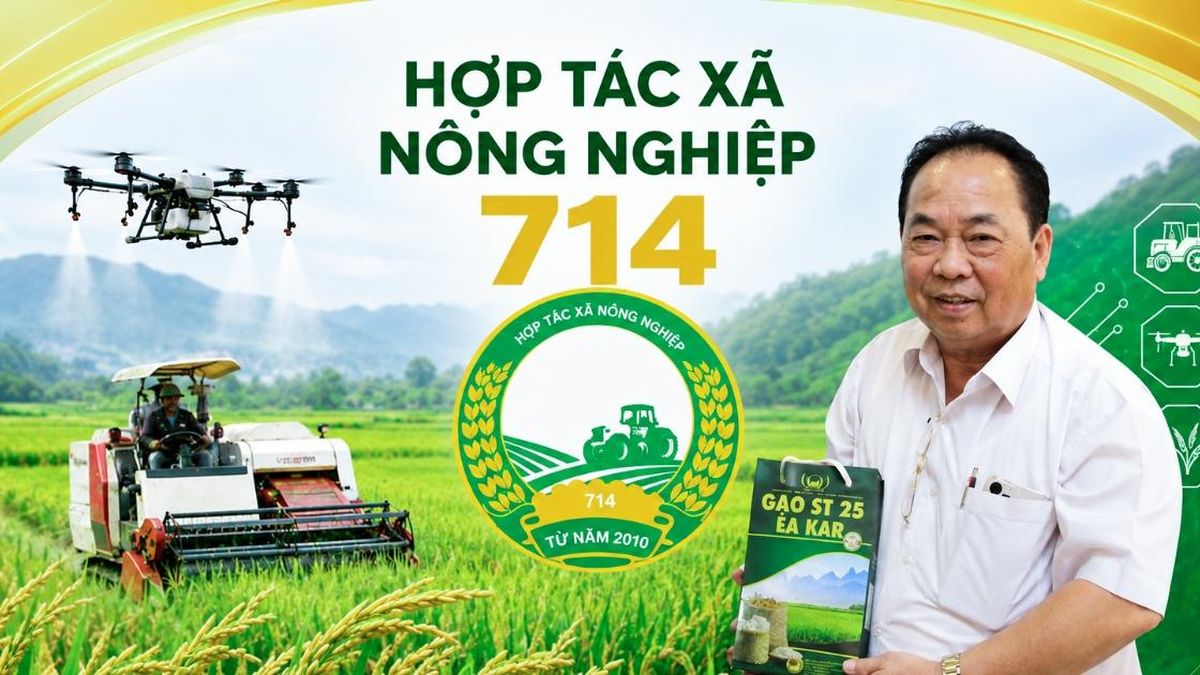 'Ngôi sao HTX' tỏa sáng từ cánh đồng lúa Tây Nguyên - Tạp chí Vnbusiness