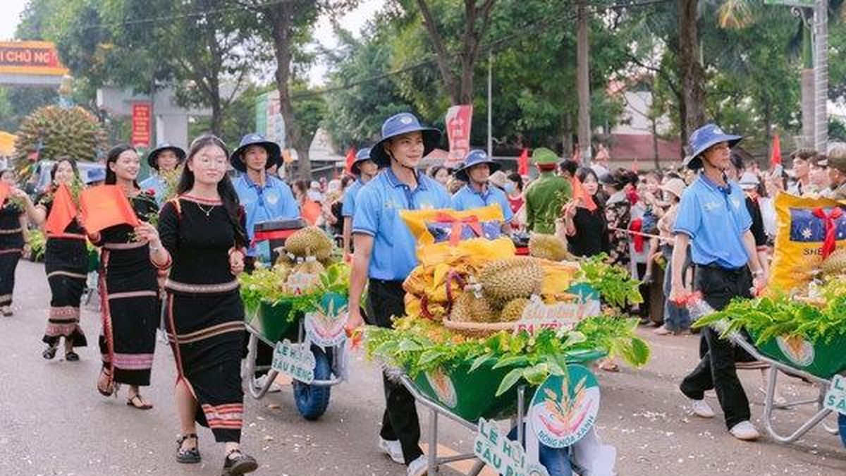 Lễ hội Sầu riêng Đắk Lắk năm 2026 sẽ diễn ra từ 15/8 đến 02/9 - Báo Kiểm Toán