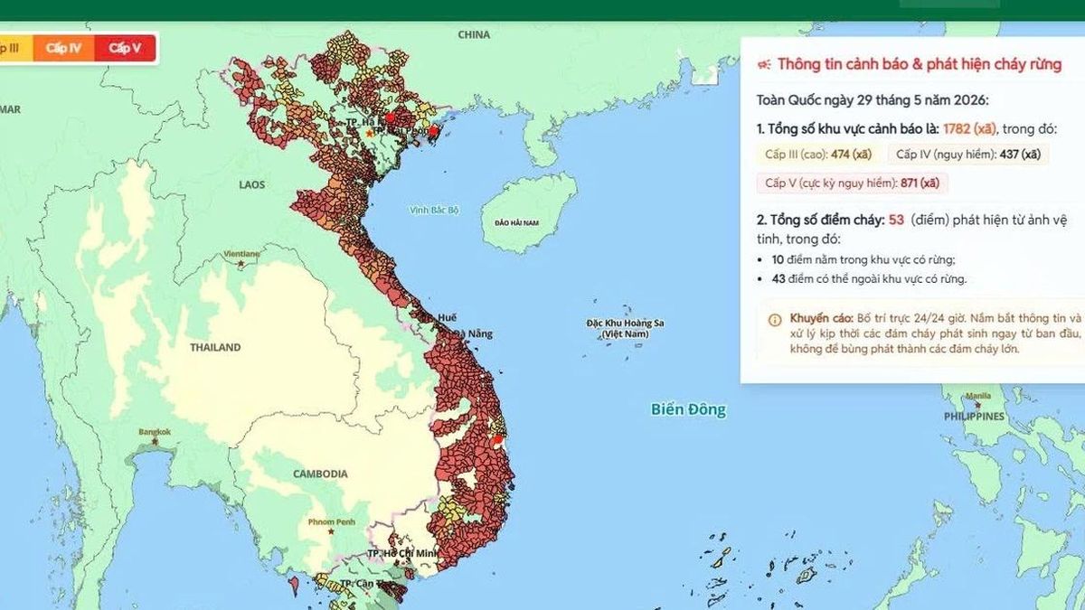 Cả nước có khoảng 1.782 khu vực nguy cơ xảy ra cháy rừng trong ngày hôm nay - Báo VietnamPlus