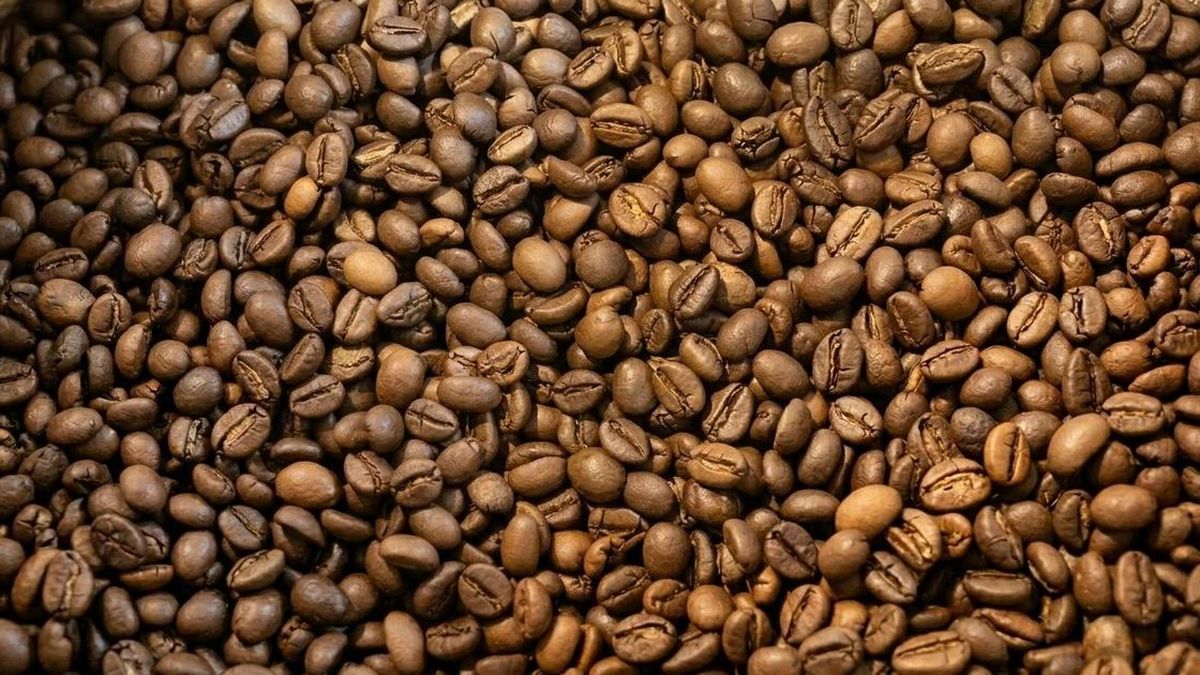 Ngày 29-5, giá cà phê trong nước mất thêm 800 đồng/kg - Báo Gia Lai