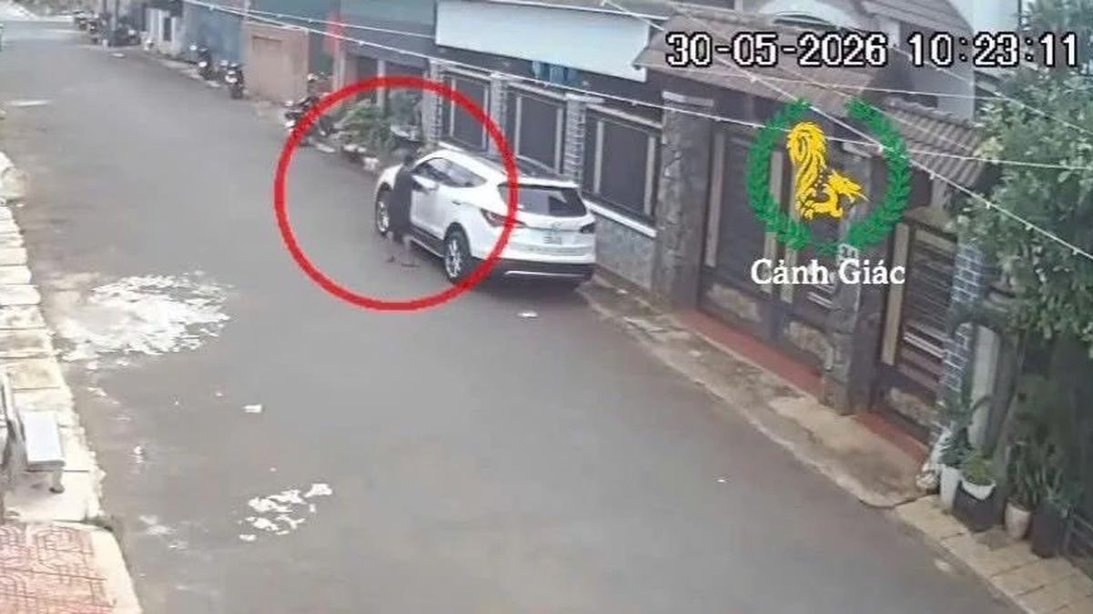 Thót tim clip bé trai 12 tuổi lái ô tô qua nhiều hẻm ở Đắk Lắk, va quẹt taxi - Báo Tiền Phong