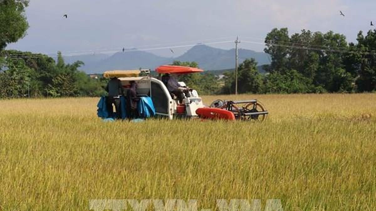 Đột phá phát triển kinh tế tập thể - Bnews