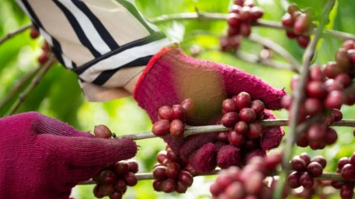 Buôn Ma Thuột được National Geographic vinh danh điểm đến ẩm thực hàng đầu thế giới - Tạp chí Du lịch TP.HCM
