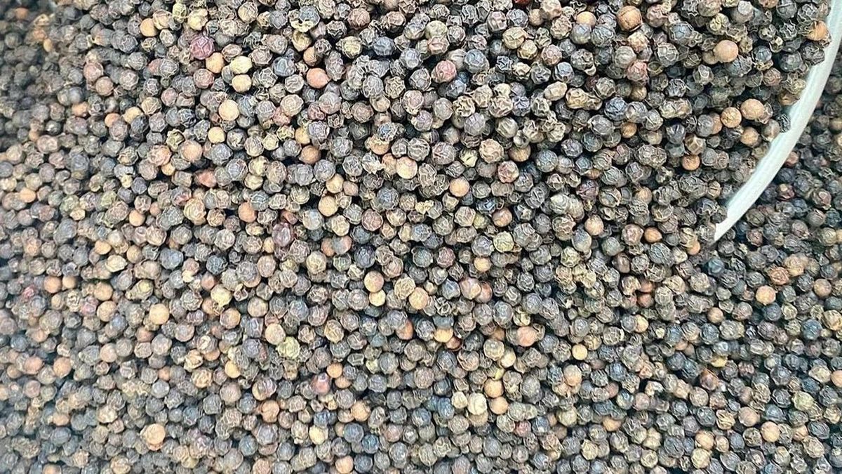 Giá cà phê giảm nhẹ, hồ tiêu mất đến 3.000 đồng/kg - Báo Gia Lai