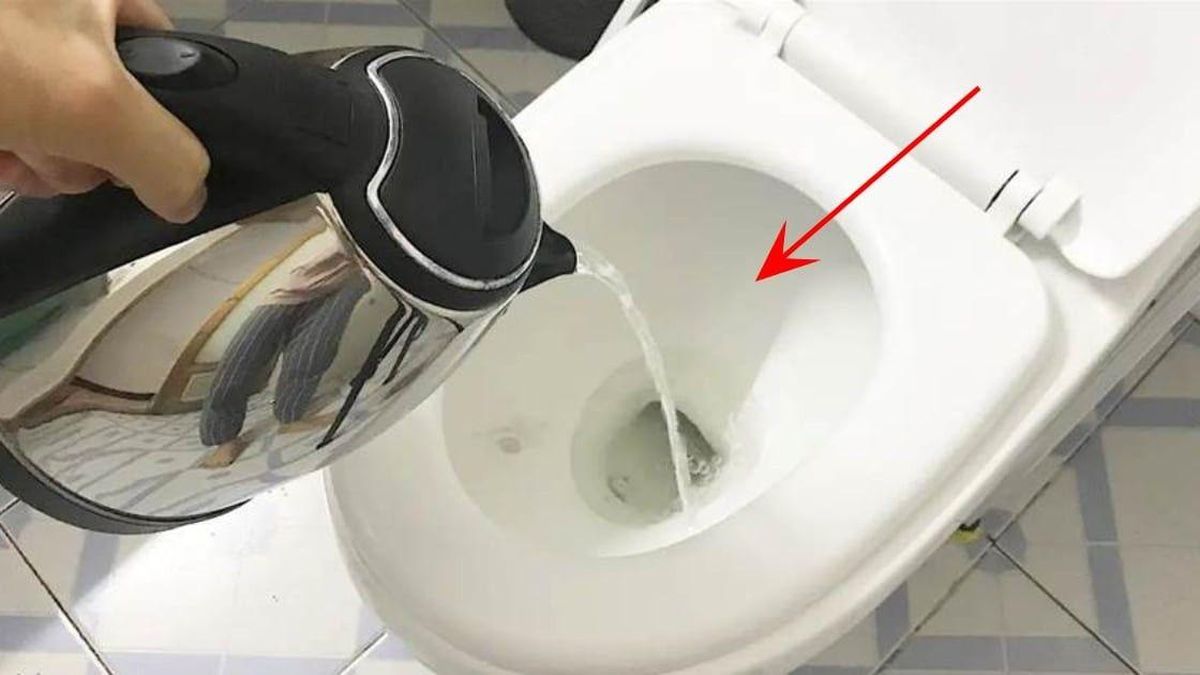 Tại sao bạn nên đổ nước sôi vào bồn cầu ngay khi nhận phòng khách sạn? Bí  mật không phải ai cũng biết - Chuyên trang Góc nhìn pháp lý - Tạp