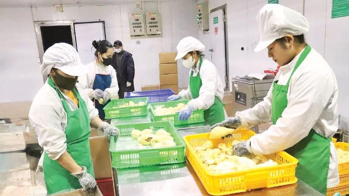 Khơi mạch tín dụng cho nền nông nghiệp hiện đại - Báo Nhân Dân