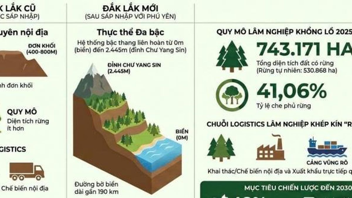 Đắk Lắk triển khai quy hoạch lâm nghiệp 2026–2030 phát huy giá trị đa mục tiêu của rừng - Nông nghiệp Hữu cơ Việt Nam