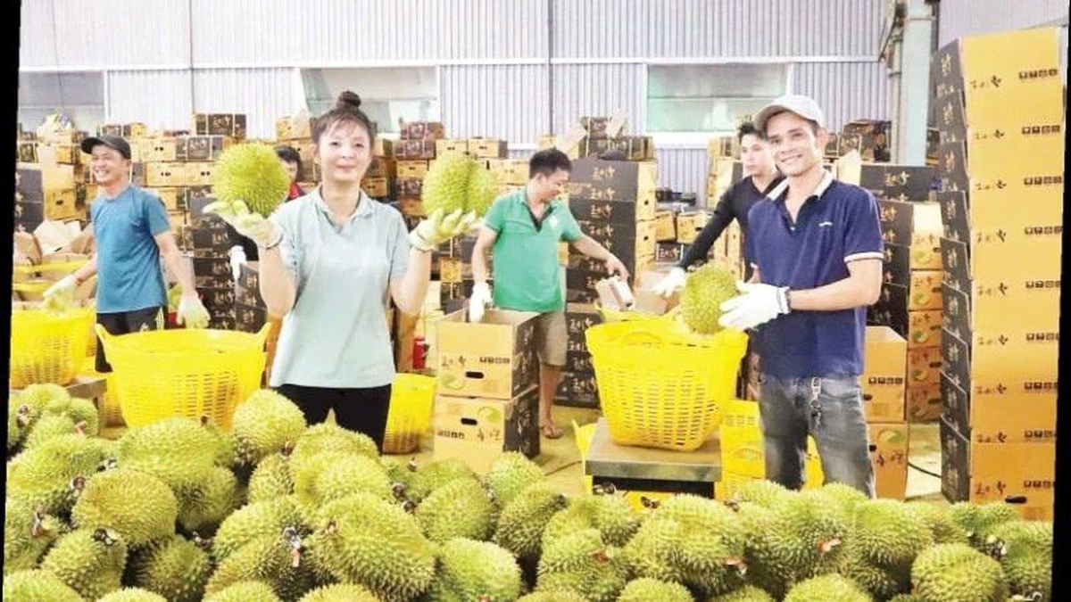 Bài 2: Gỡ khó, mở rộng nguồn vốn khu vực tam nông - Báo Nhân Dân