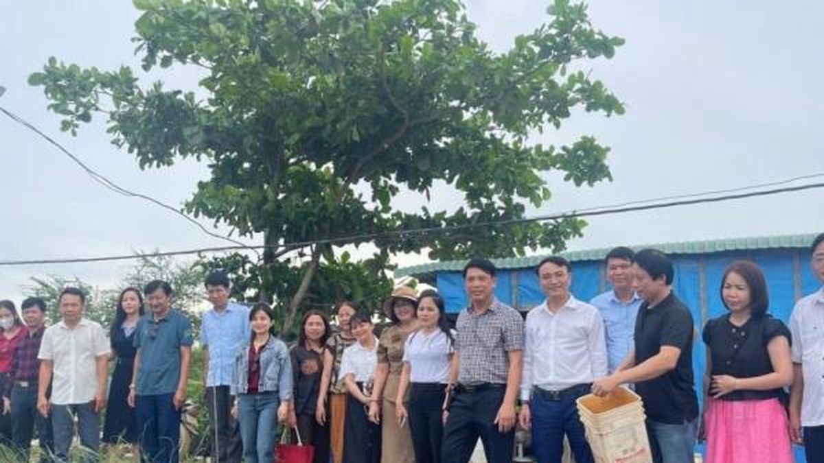 Khuyến nông Đắk Lắk chia sẻ kinh nghiệm ứng dụng công nghệ số trong sản xuất nông nghiệp - Nông nghiệp Hữu cơ Việt Nam
