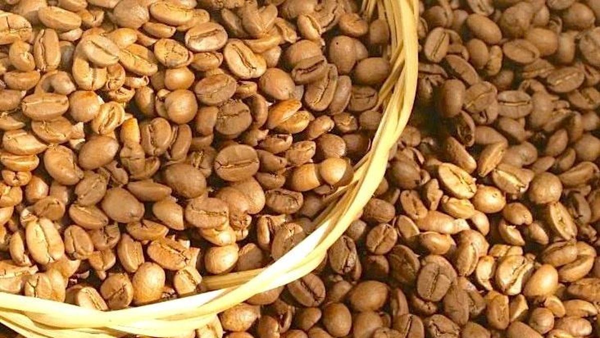 Ngày 7-6, cà phê giảm thêm 600 đồng/kg - Báo Gia Lai
