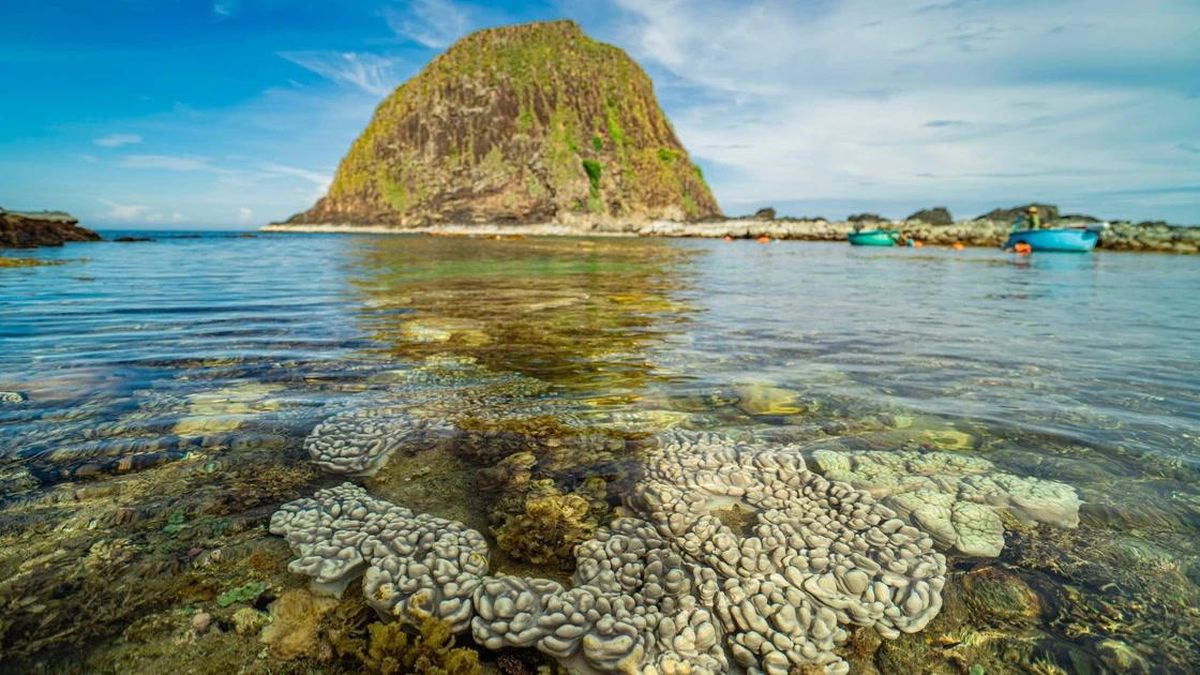 Các chặng bay nội địa và quốc tế khởi hành từ Việt Nam rẻ nhất mùa hè 2026 - Báo Nhân Dân