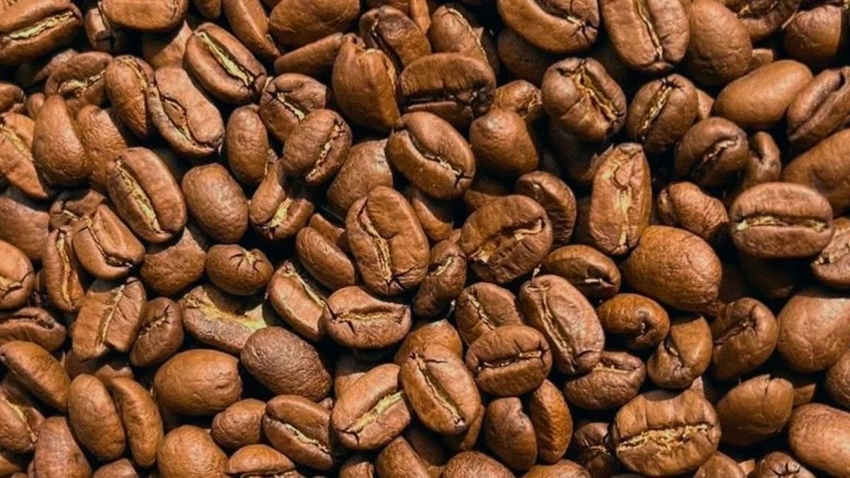 Cà phê giảm giá nhẹ, lùi về mốc 84.500 đồng/kg - Báo Gia Lai