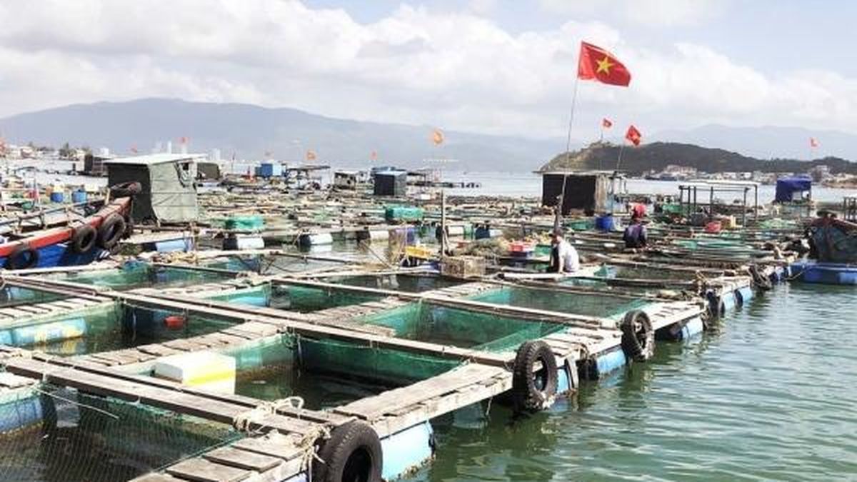 Đắk Lắk đẩy mạnh sử dụng dữ liệu số trong lĩnh vực thủy sản thay thế giấy tờ hành chính - Nông nghiệp Hữu cơ Việt Nam