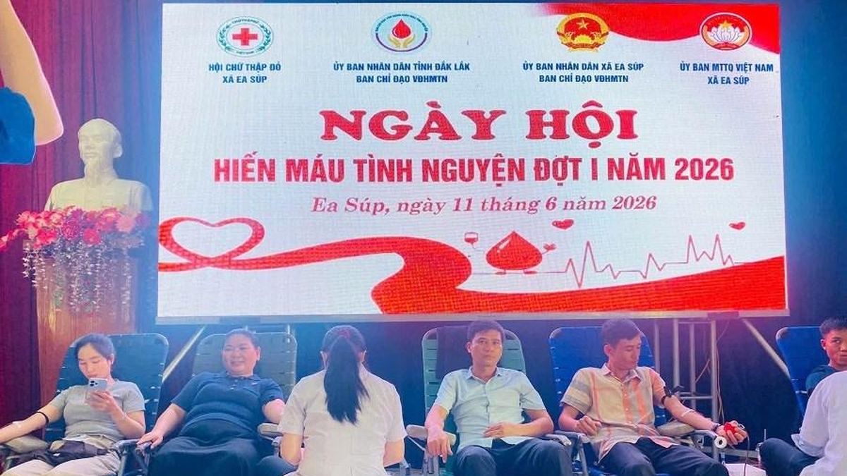 Đắk Lắk: Lan tỏa tinh thần nhân ái tại Ngày hội hiến máu tình nguyện - Báo Văn hóa
