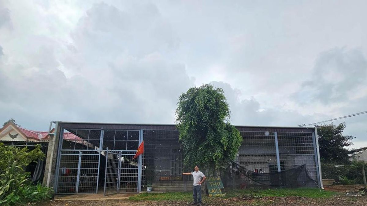 Vụ kiện liên quan thửa đất đã mua nhưng chưa được sang tên ở Đắk Lắk - Báo Pháp Luật Việt Nam