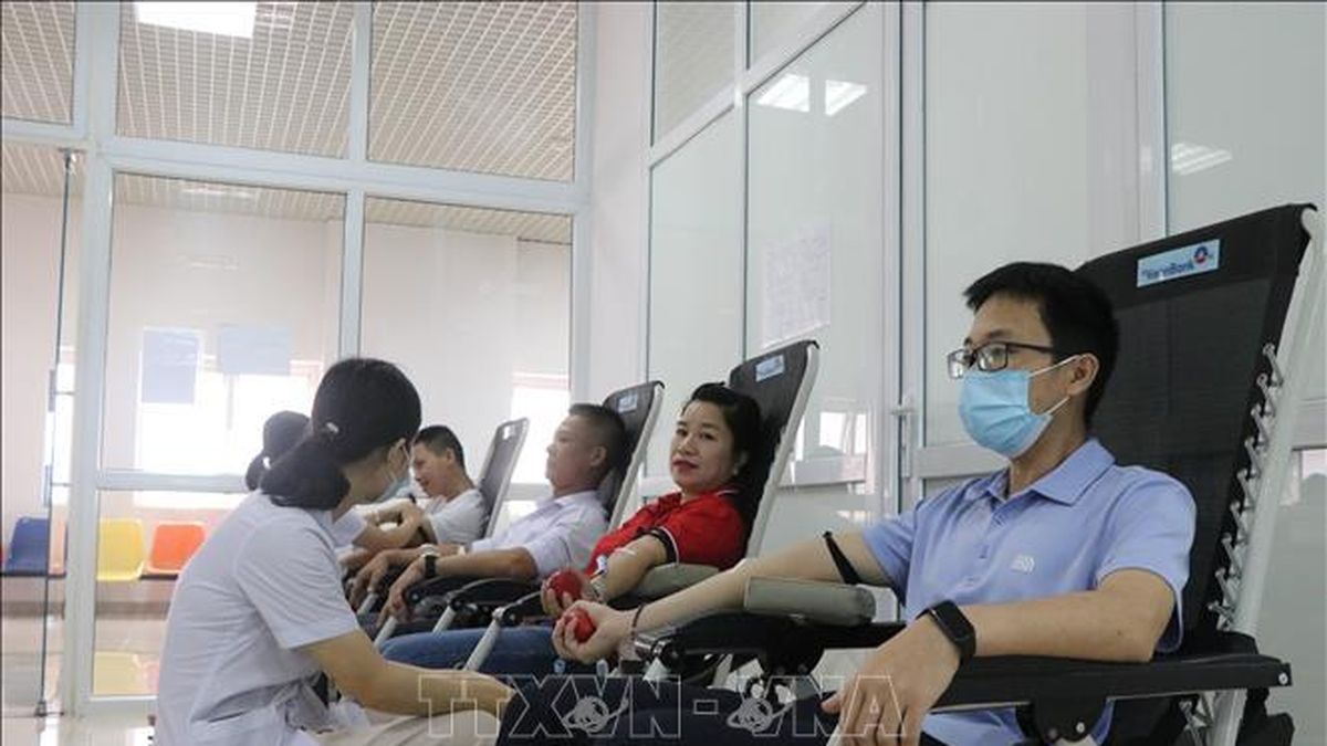 Ân tình những giọt máu hiếm - Báo Tin Tức TTXVN