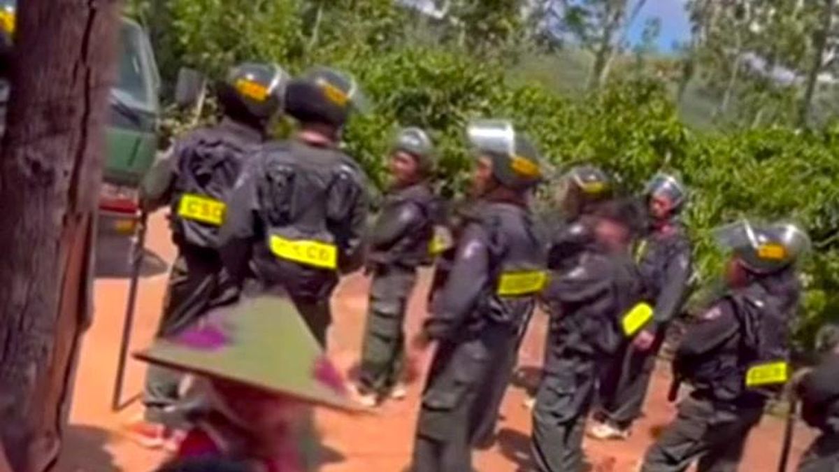 Vây bắt nghi phạm nổ súng giết người trong rừng sâu ở Gia Lai - Báo Tiền Phong