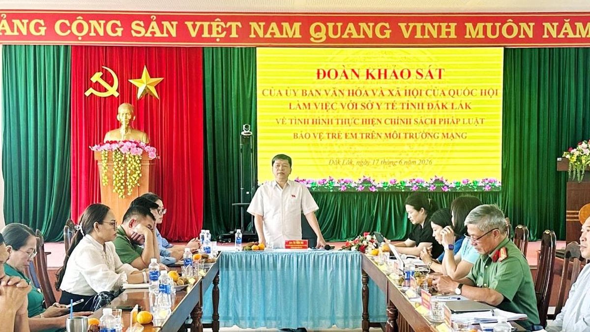 Ủy ban Văn hóa và Xã hội khảo sát công tác bảo vệ trẻ em trên môi trường mạng tại Đắk Lắk - Đại Biểu Nhân Dân