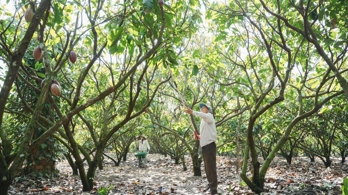 Phát triển nông nghiệp xanh từ mô hình kinh tế tuần hoàn - Báo Tin Tức TTXVN