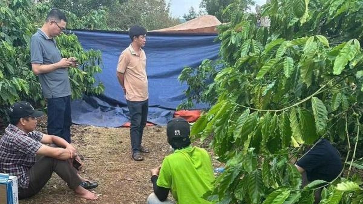 Nghi án chồng sát hại vợ rồi bỏ trốn về quê - Tạp chí Tri thức