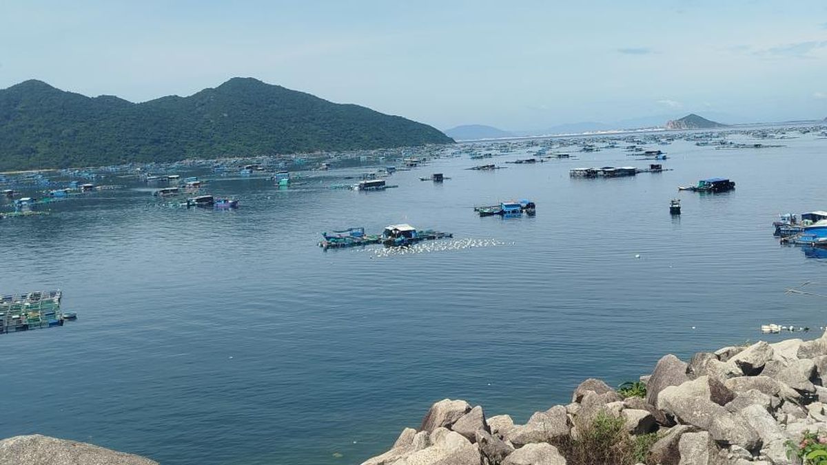Tháng Sáu về Vũng Rô - Chuyên trang Công an Đà Nẵng - Báo Công an Nhân dân