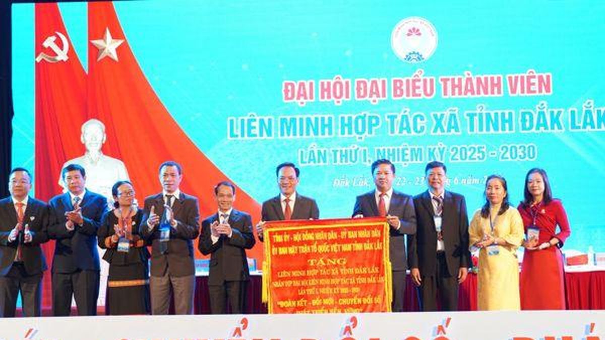 Đắk Lắk: 42 Hợp tác xã điển hình tiên tiến phát triển chuỗi sản phẩm chủ lực - Báo Kiểm Toán
