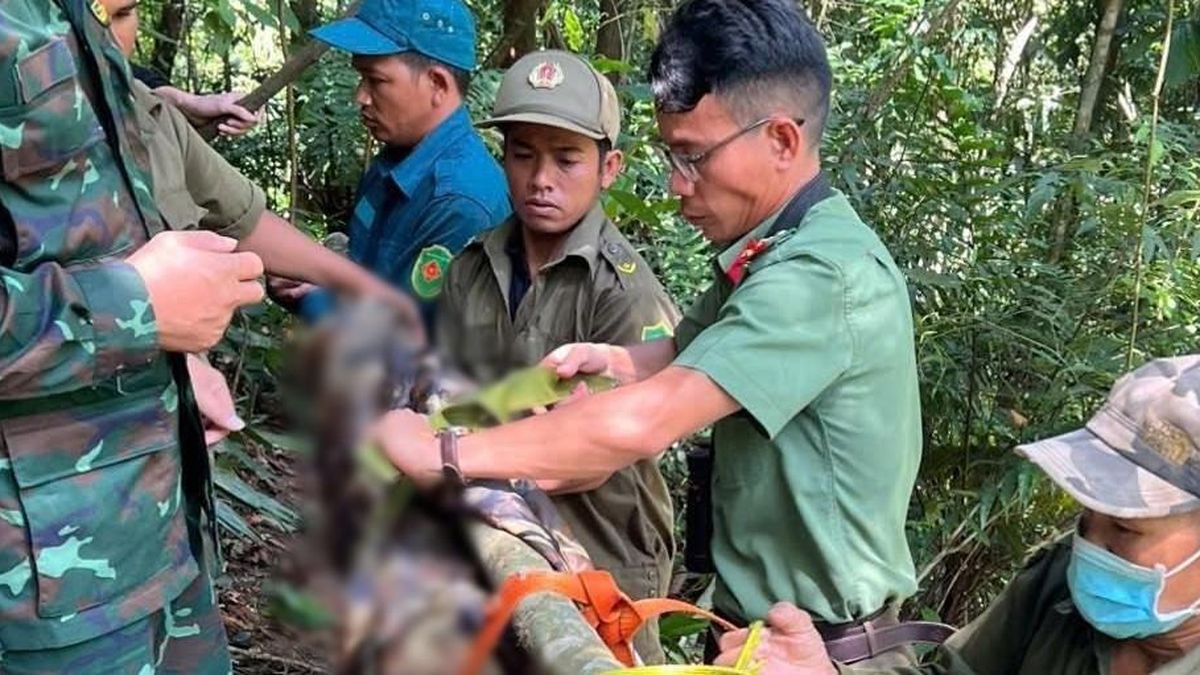 Người đàn ông tử vong trên cây cao 40m, nghi do đột quỵ
