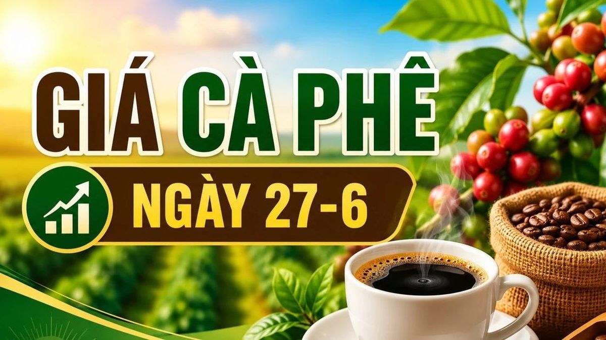 Giá cà phê ngày 27-6: Vượt mốc 90.000 đồng/kg - Báo Gia Lai