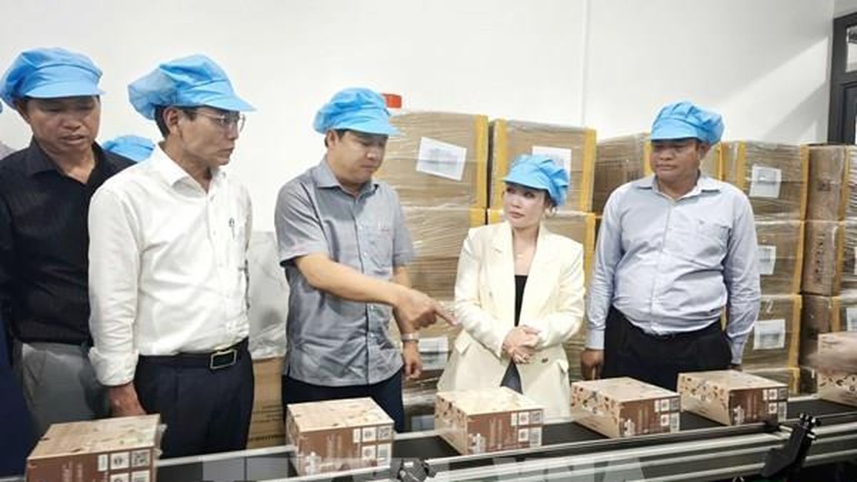 Đắk Lắk tạo 'luồng xanh', khơi thông nguồn lực đầu tư - Bnews