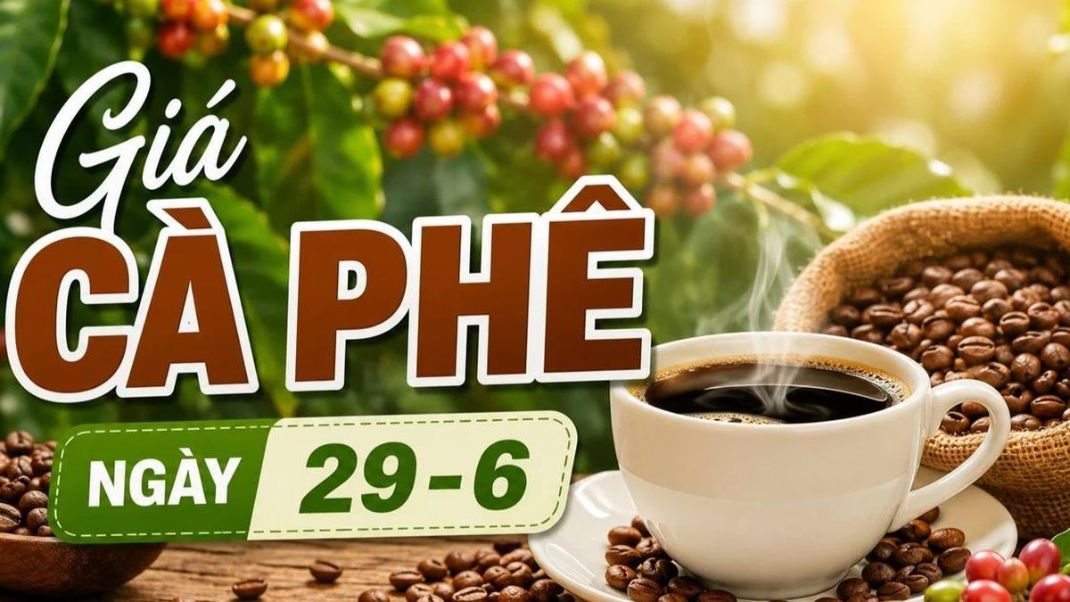 Giá cà phê ngày 29-6: Đi ngang phiên đầu tuần - Báo Gia Lai