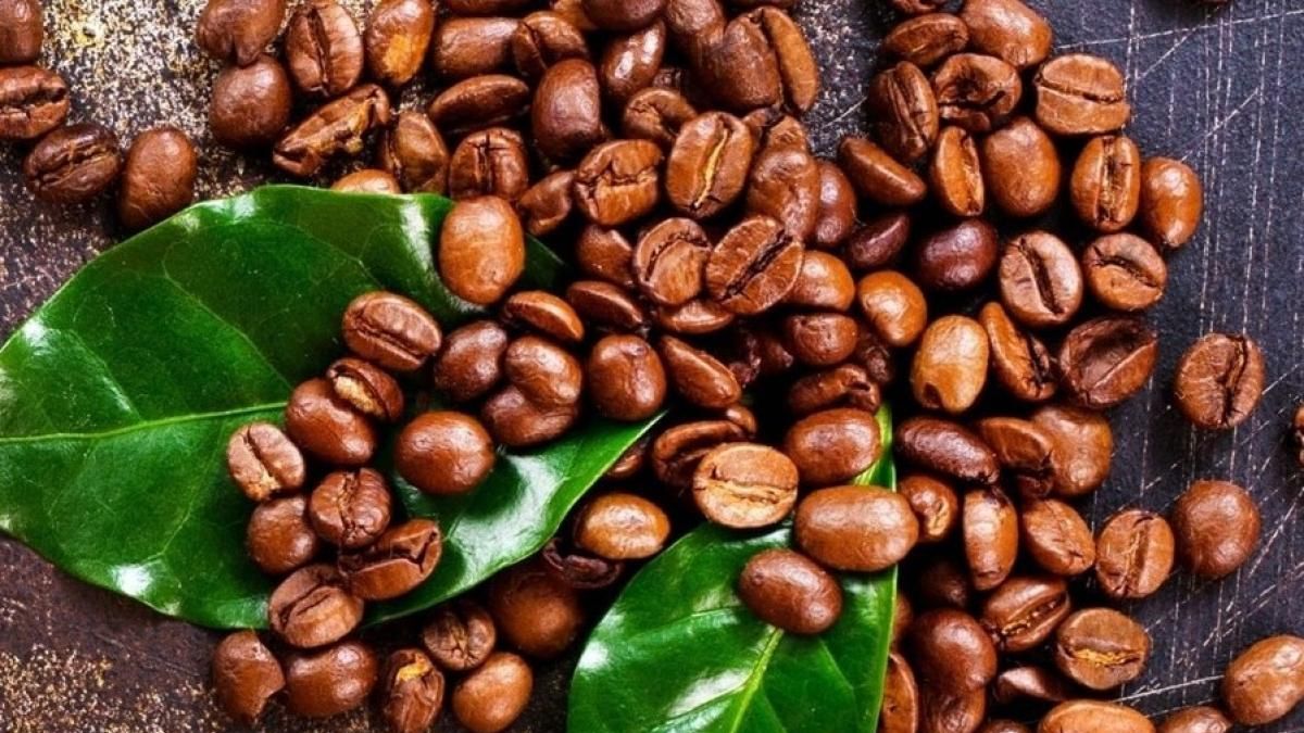 Ngày 29/6: Giá cà phê tăng trở lại, hồ tiêu neo ở mức cao - Thời báo Tài chính