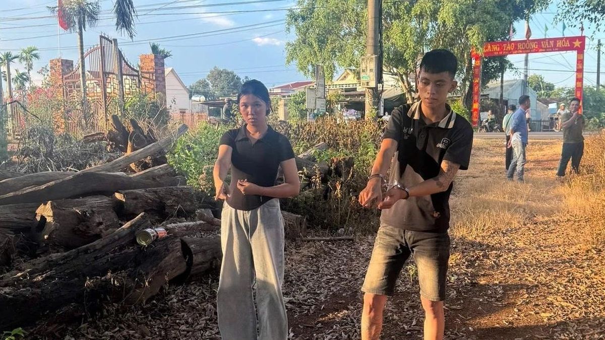 Bắt đôi nam nữ 17 tuổi chuyên trộm xe công nông - Báo Gia Lai