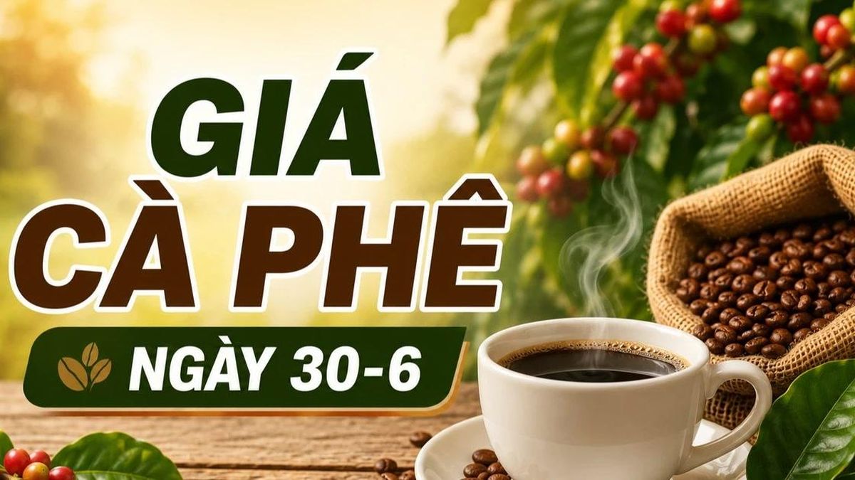 Giá cà phê ngày 30-6: Thị trường thế giới tăng mạnh - Báo Gia Lai