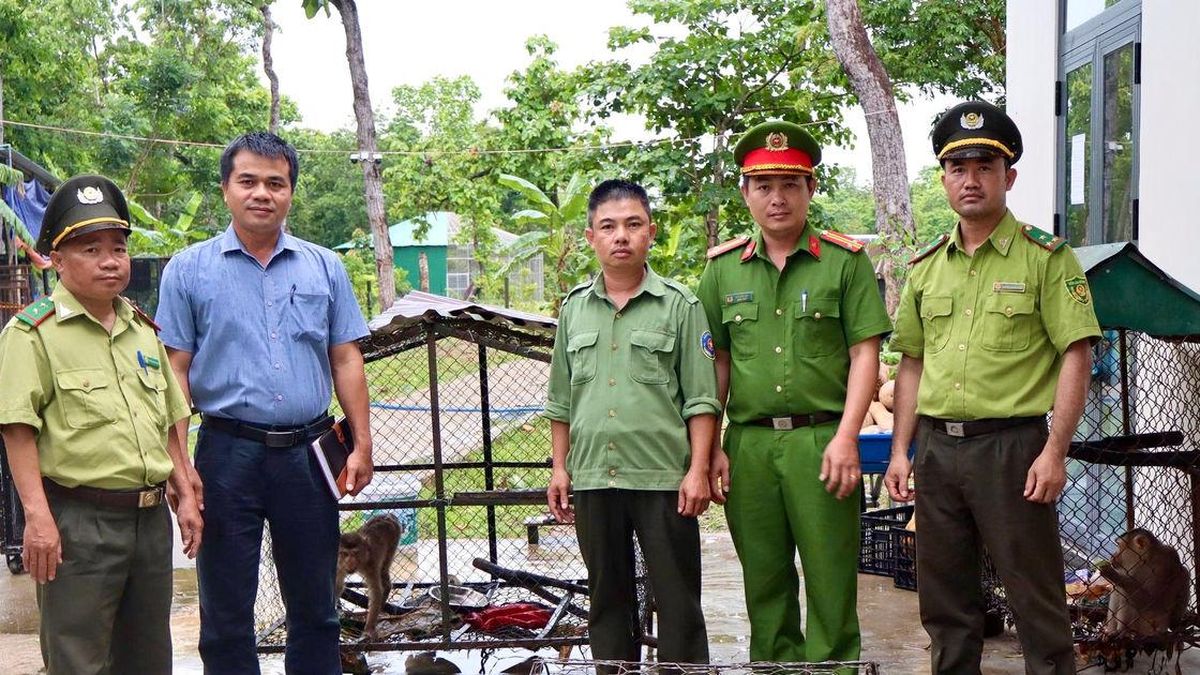Đắk Lắk : Người dân tự nguyện giao nộp 3 cá thể khỉ quý hiếm - Đại Biểu Nhân Dân