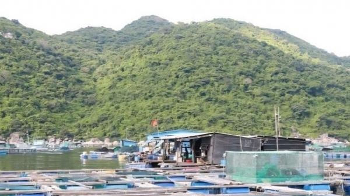 Đầu tư hạ tầng nuôi trồng thủy sản nước lợ và nước mặn tại xã Xuân Cảnh, tỉnh Đắk Lắk - Nông nghiệp Hữu cơ Việt Nam