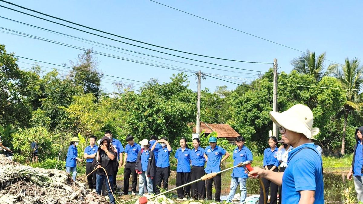 Bạn trẻ Đắk Lắk biến chất thải thành phân bón hữu cơ - Báo Tiền Phong