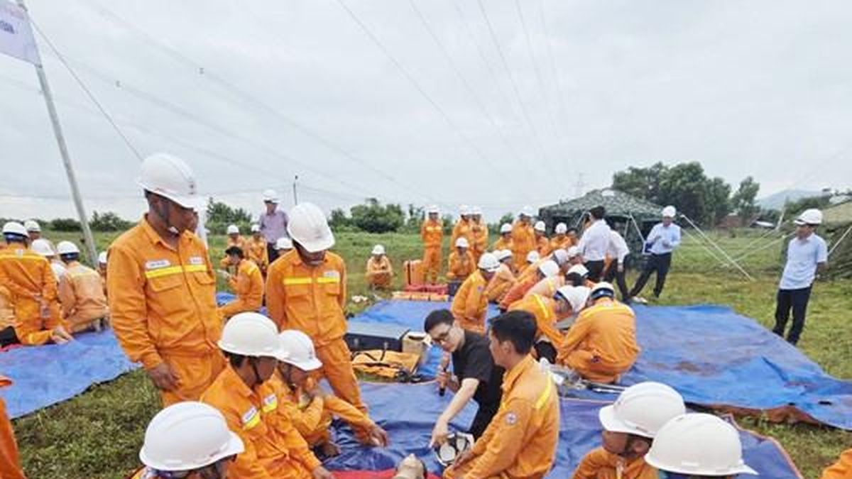 PTC3 diễn tập sẵn sàng khôi phục lưới điện sau thiên tai - Bnews