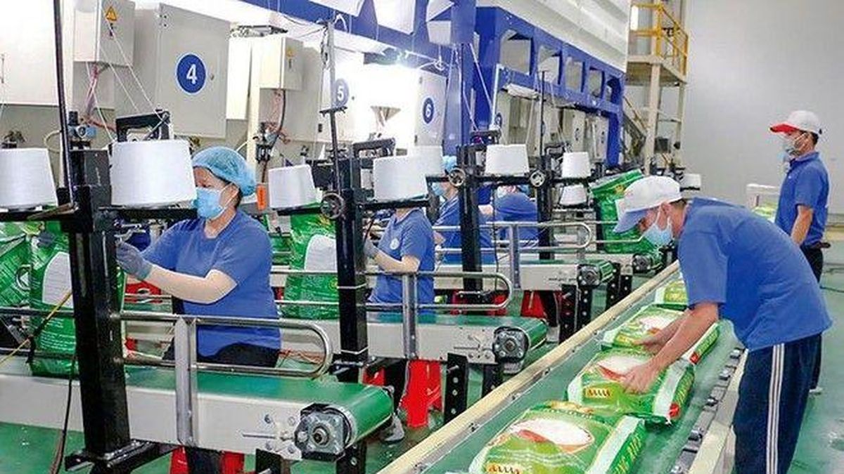 Trung An đặt mục tiêu lãi trở lại trong năm 2026, thúc đẩy loạt dự án nông nghiệp và năng lượng - Tạp chí Kinh tế Môi trường