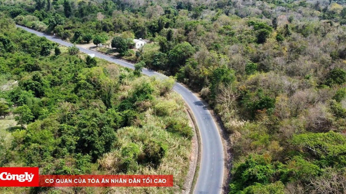 Đề xuất cao tốc hơn 200km nối biên giới rừng xuống biển - Báo Công Lý