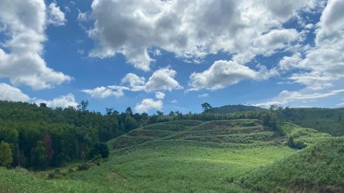 Hơn 13 năm chưa giao xong hơn 2.000ha đất rừng cho dân tại một xã ở Đắk Lắk, vì sao? - Báo Công An Nhân Dân