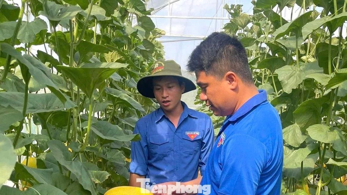 Bắt đất 'đẻ' ra tiền - Báo Tiền Phong