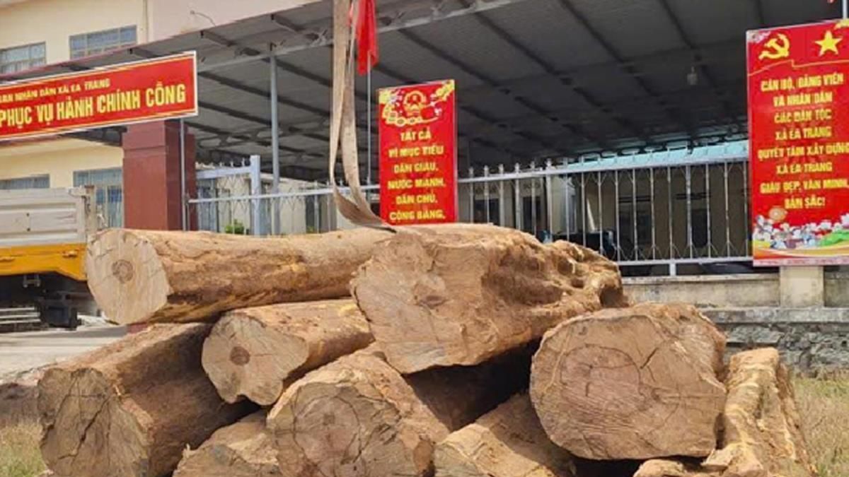 Gỗ lậu 'vi hành' - Chuyên trang Công an Đà Nẵng - Báo Công an Nhân dân