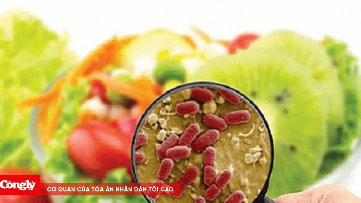 Bộ Y tế chỉ đạo khẩn sau vụ gần 40 học sinh nhập viện nghi ngộ độc thực phẩm tại Đắk Lắk - Báo Công Lý