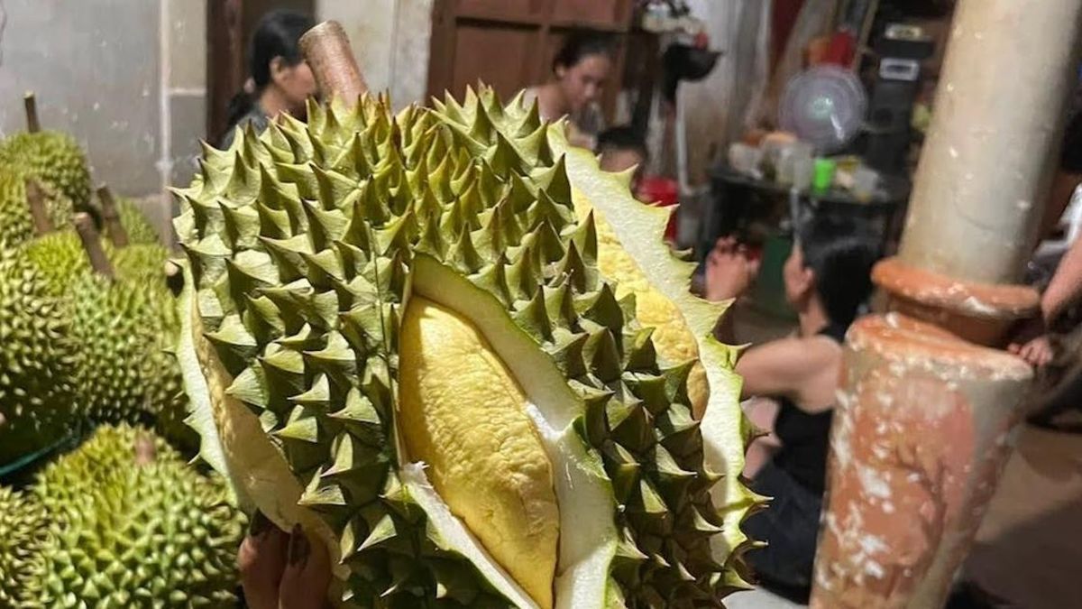Sầu riêng Krông Nô: HTX học cách xây dựng thương hiệu gắn với sở hữu trí tuệ - Tạp chí Vnbusiness