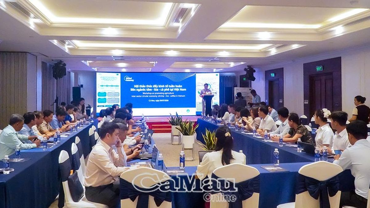 Kết nối 3 ngành hàng chủ lực: tôm Cà Mau, lúa Đồng Tháp và cà phê Đắk Lắk - Báo Cà Mau