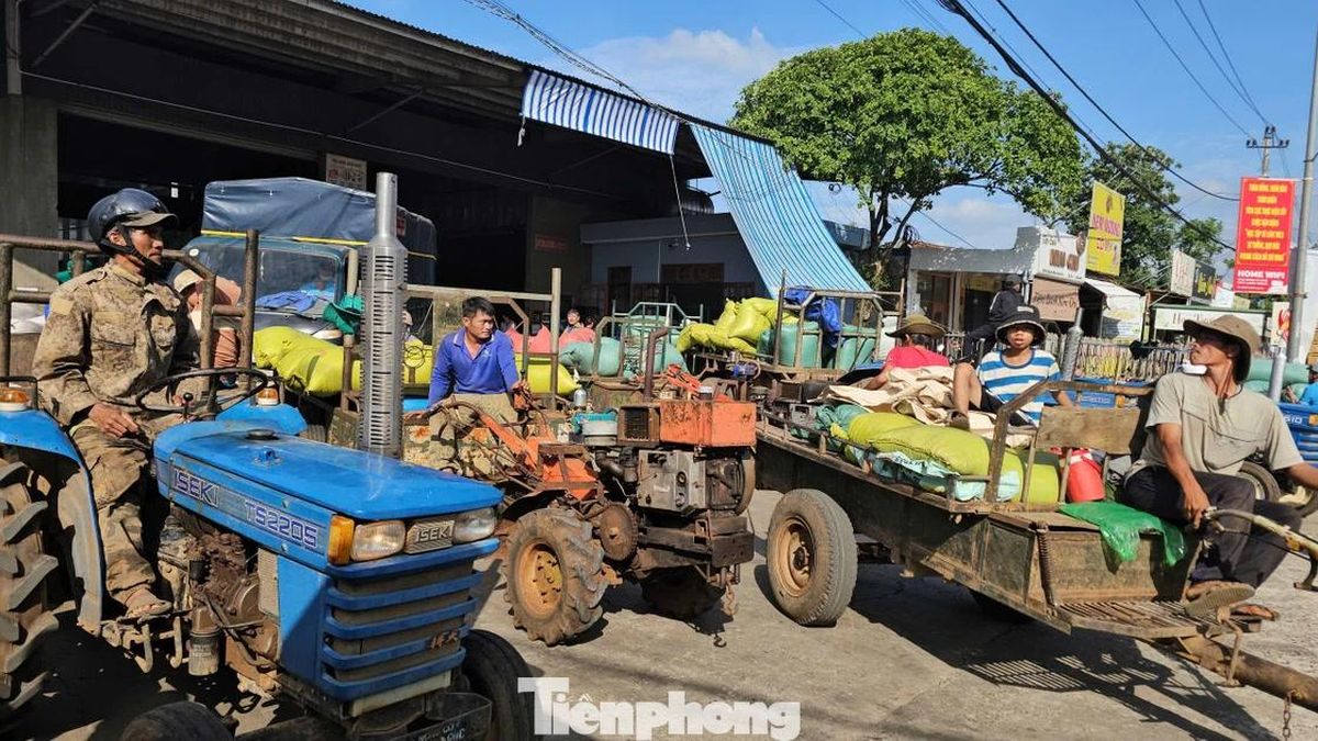 Lý do người dân Đắk Lắk rồng rắn chở cà phê đi bán - Báo Tiền Phong