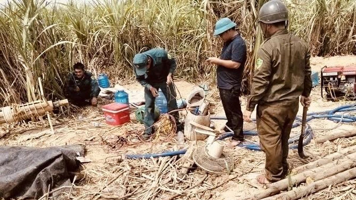 Đắk Lắk: Sớm kiểm tra, xử lý vi phạm các tổ chức, cá nhân vụ đãi vàng trái phép - Nông nghiệp Hữu cơ Việt Nam