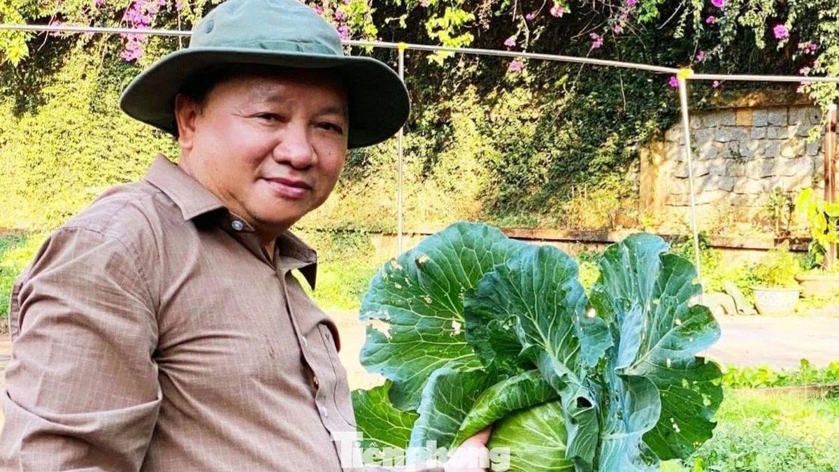 Nguyên Chủ tịch Hiệp hội Du lịch Đắk Lắk tố bị bôi nhọ danh dự - Báo Tiền Phong
