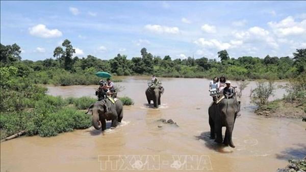 Chuyển đổi số và kích cầu du lịch để thúc đẩy tăng trưởng hai con số - Bnews
